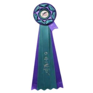 Starburst & Starburst Plus